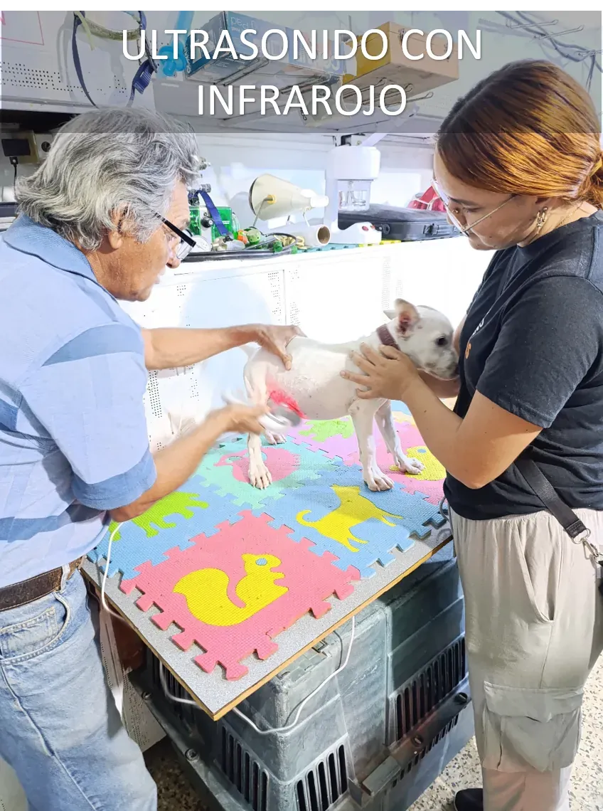 Fisioterapia